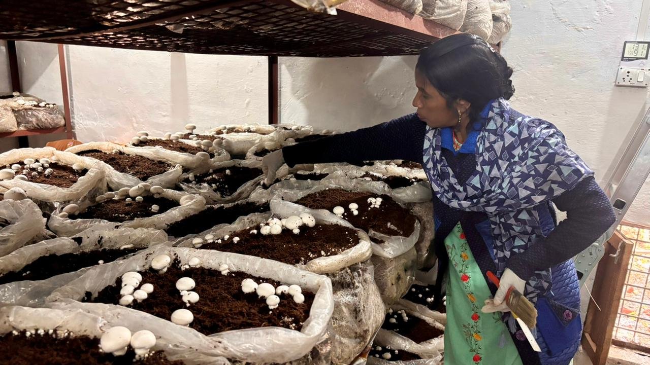 सीएम धामी के आत्मनिर्भर उत्तराखंड विजन को पौड़ी से नयी उड़ान