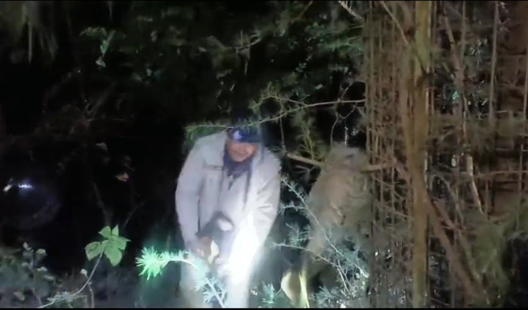 हादसा: खाई में गिरी पाँच लोगो से भरी स्विफ्ट कार